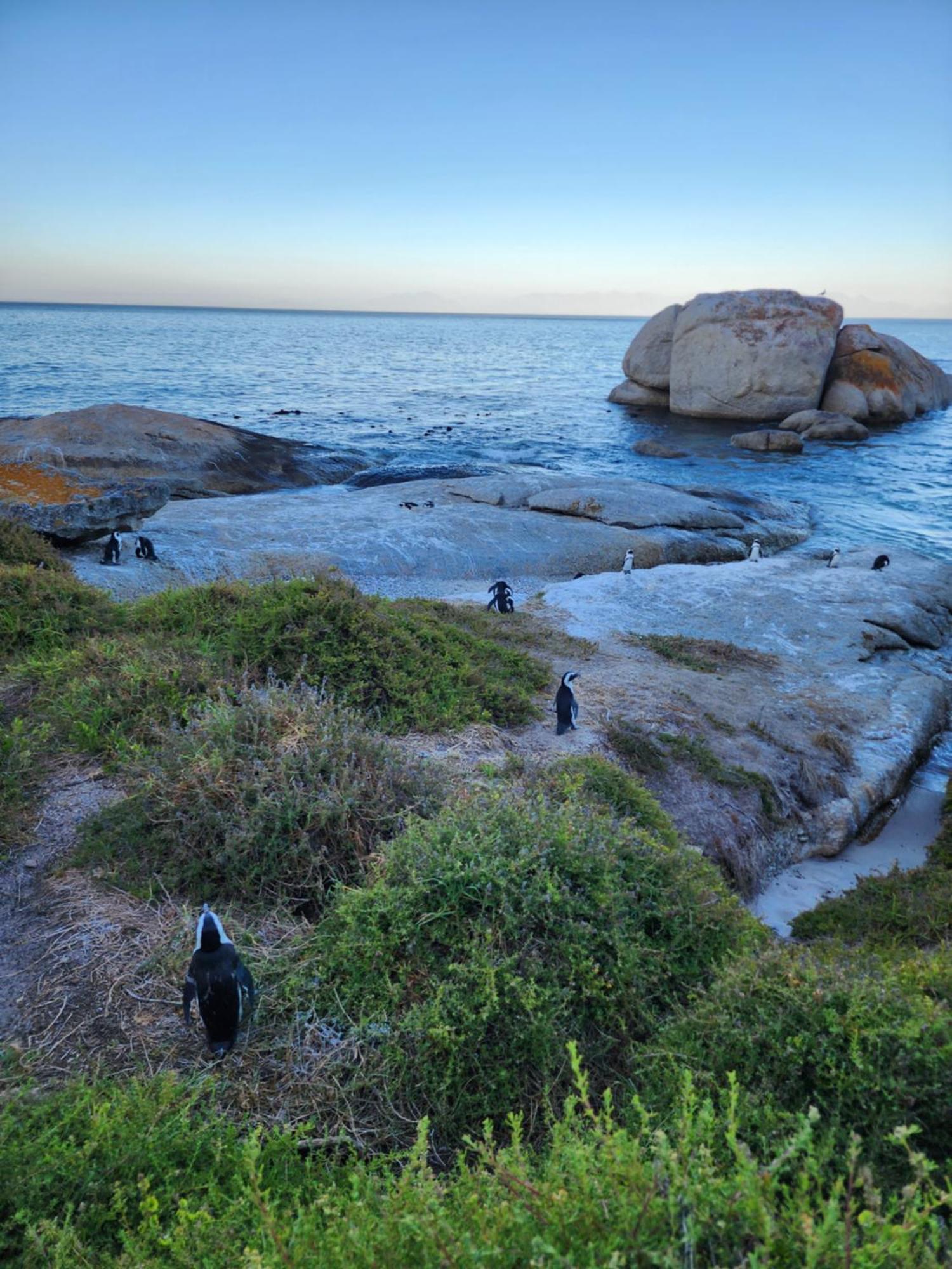 Boulders Blue Bed And Breakfast Саймонстаун Экстерьер фото